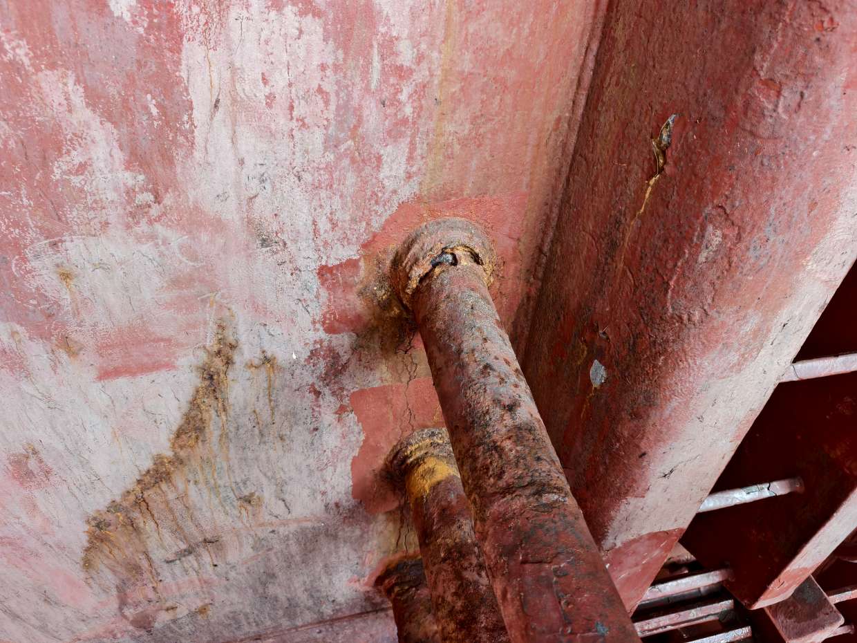 图片[2]-2025.9.14-9.23 AFRICAN NIGHTJAR SSII-臭虾米博客