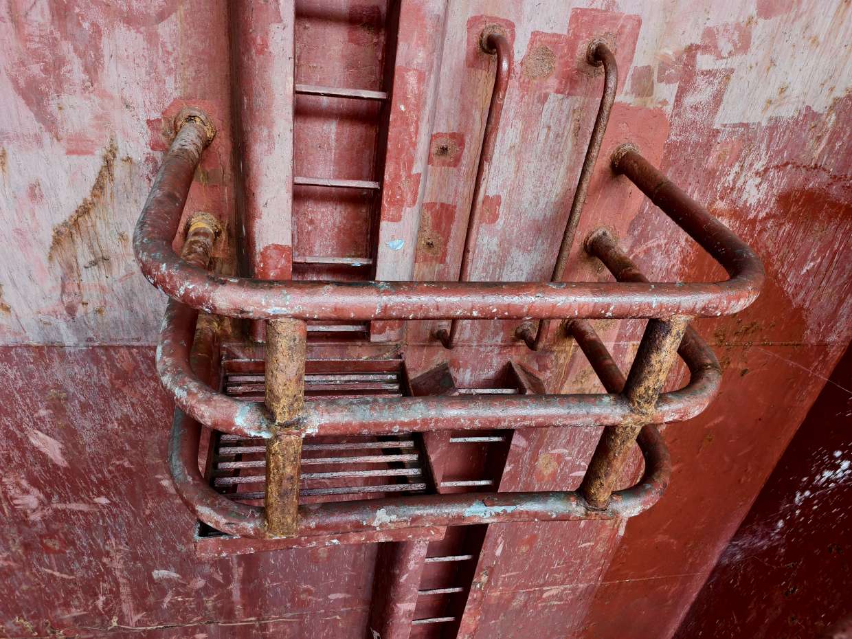 图片[3]-2025.9.14-9.23 AFRICAN NIGHTJAR SSII-臭虾米博客