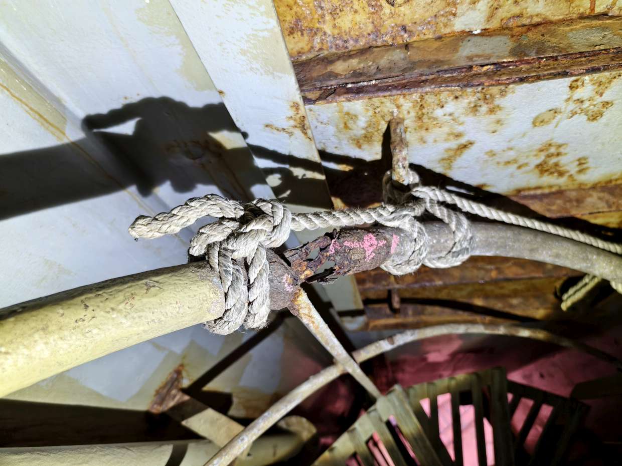 图片[4]-2025.9.14-9.23 AFRICAN NIGHTJAR SSII-臭虾米博客