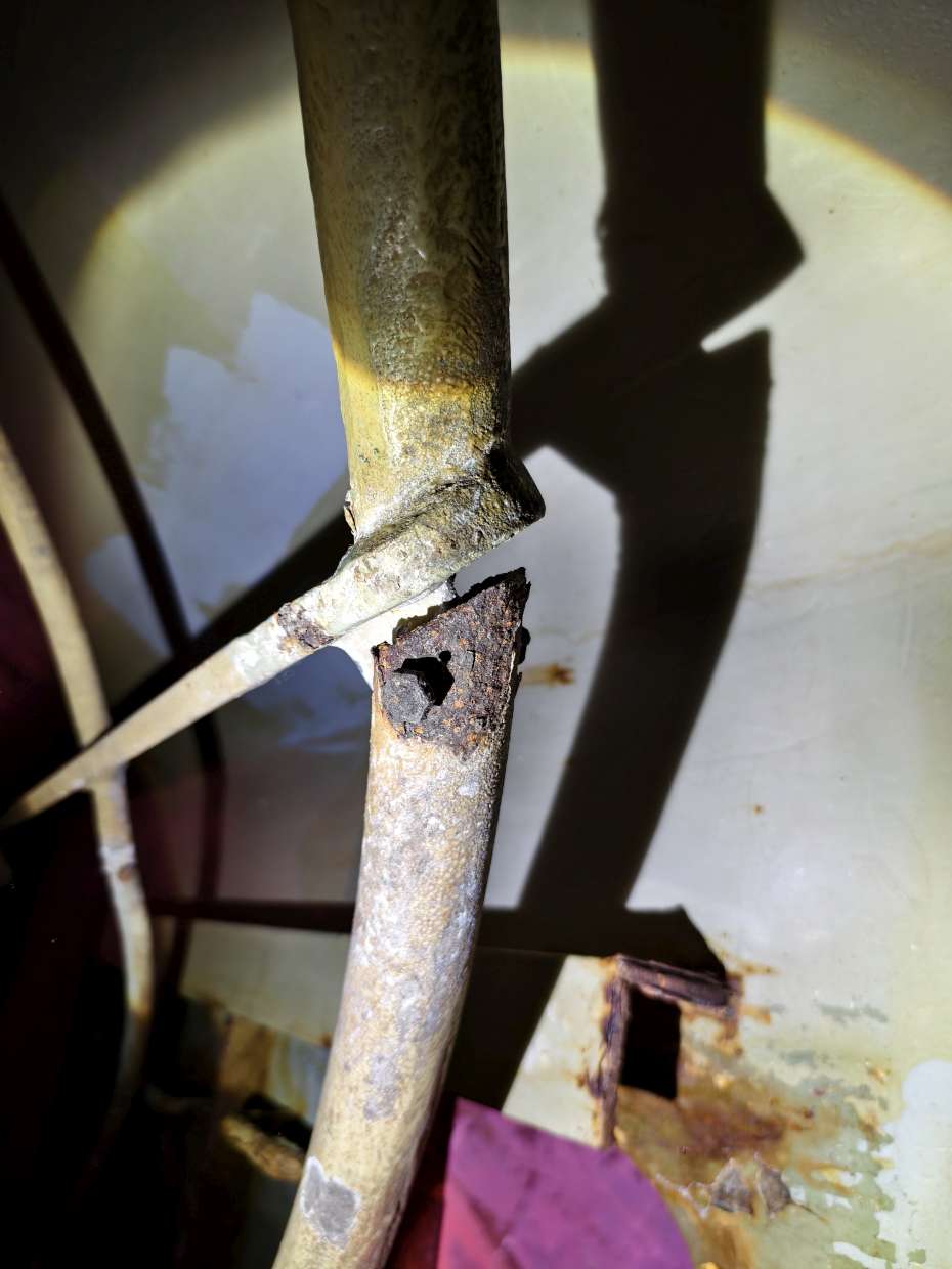 图片[5]-2025.9.14-9.23 AFRICAN NIGHTJAR SSII-臭虾米博客