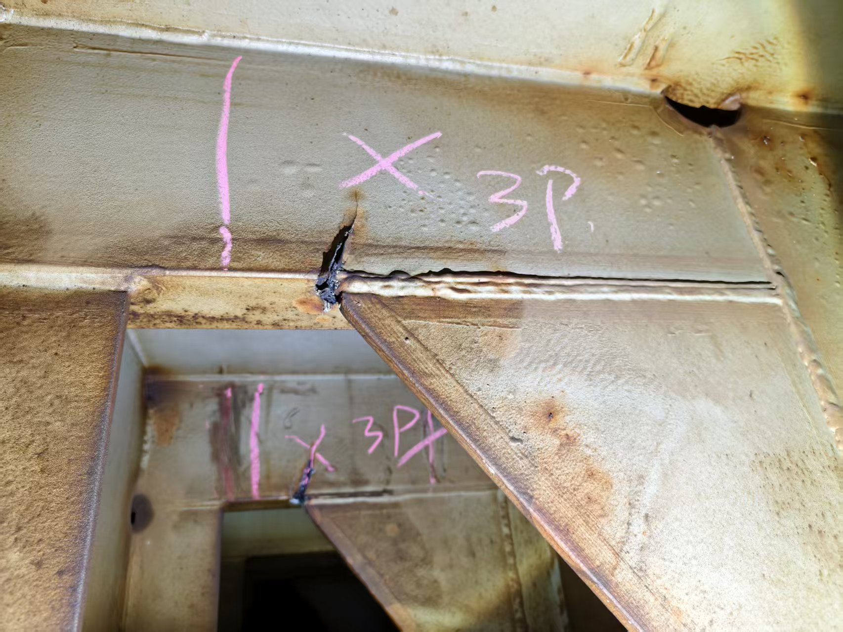 2025.11.6-11.18 ORIENTAL PEARL NK ISIV-臭虾米博客